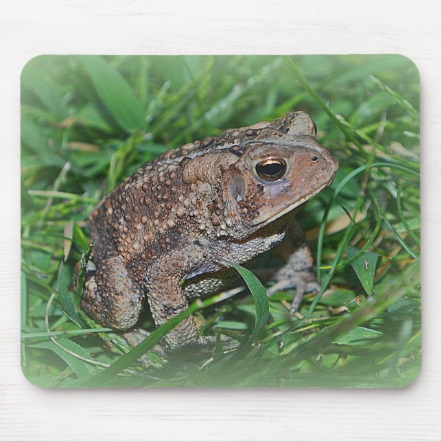Frog Mousepad (Vorne)