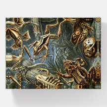 Frog und Toad Ernst Haeckel Vintag