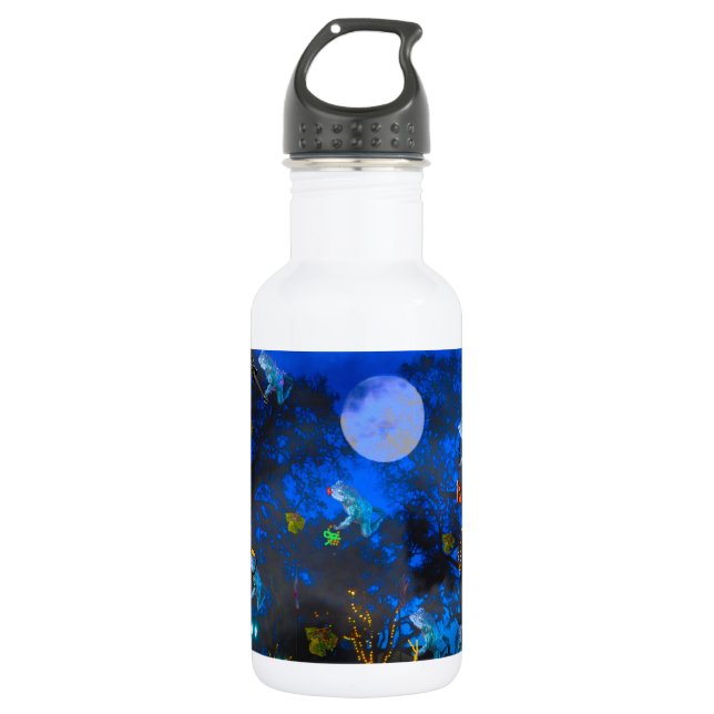 Froggie Nacht Edelstahlflasche (Vorderseite)