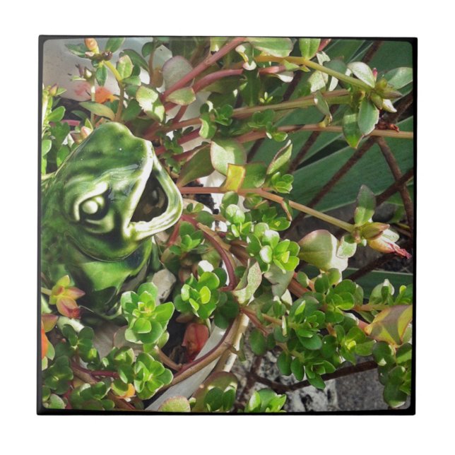 Froggy Fliese (Vorderseite)