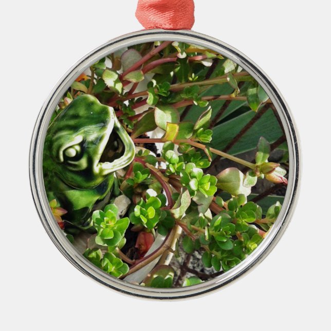 Froggy Silbernes Ornament (Vorne)