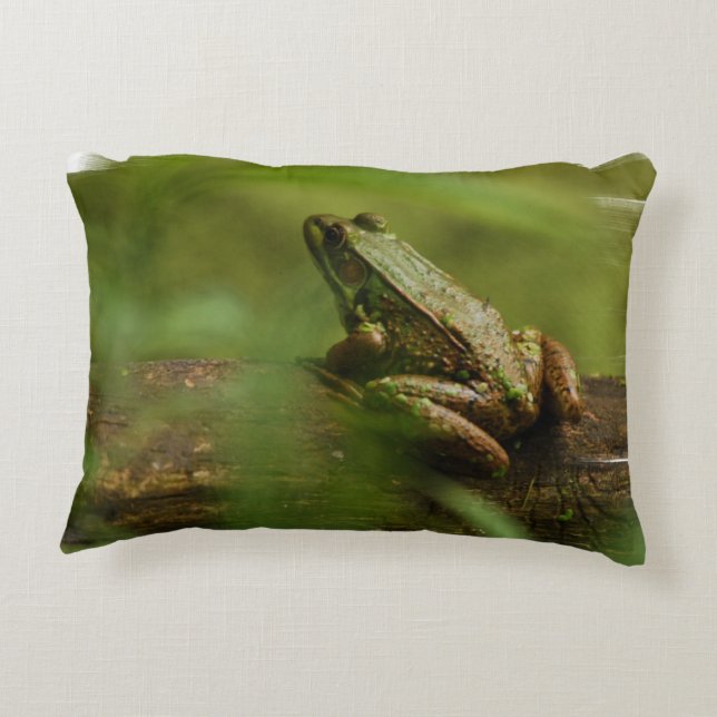 Froggy Zierkissen (Rückseite)