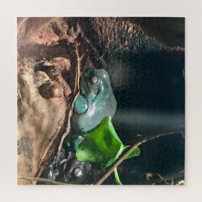 Frogs Mystery Life Nr. 2 (Vertikal)