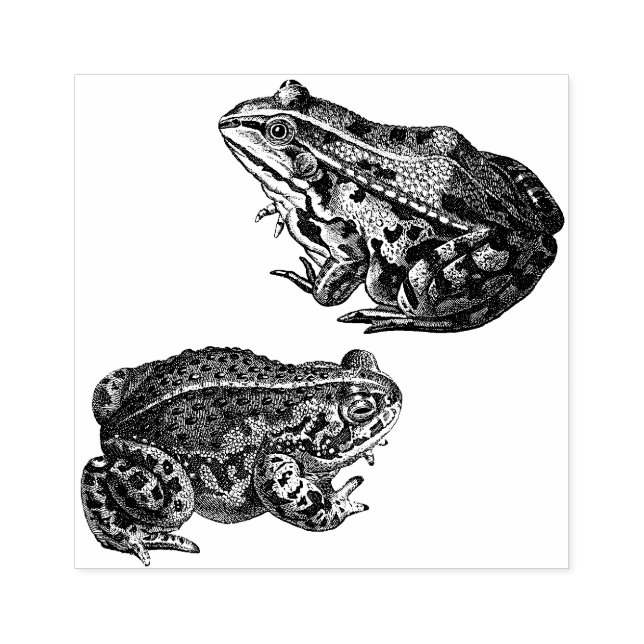 Frogs Rubber Art Briefmarke Gummistempel (Prägung)