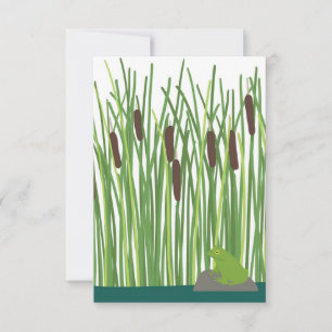 Frogy und Cattails