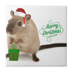Frohe Christmaus Fliese