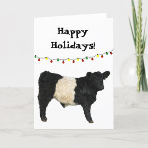 Frohe Feiertage Christmas Belted Galloway Beltie K Karte