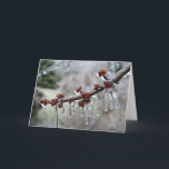 Frohe Feiertage Karte<br><div class="desc">Gefrieren Sie eingehüllte Beeren,  Winter,  Eis,  Feiertage,  Weihnachten</div>