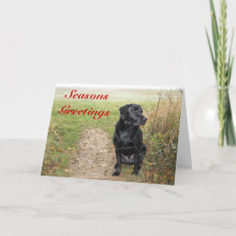 Frohe Festtage - schwarzer Labrador Feiertagskarte