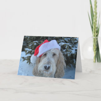 Frohe GBGV Weihnachten