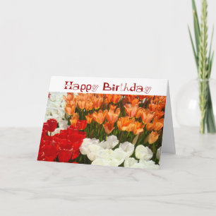 Frohe Geburtstag Bunte Grußkarten Tulpen Karte