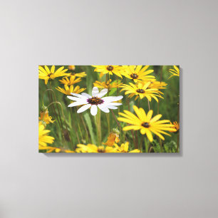 Frohe gelbe und weiße Blumen Leinwanddruck