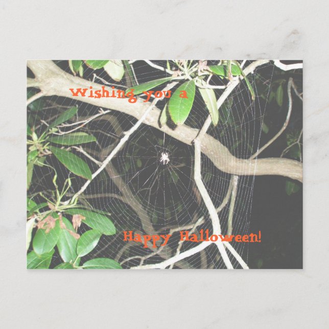 Frohe Halloween! Postkarte (Vorderseite)