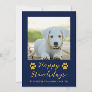 Frohe Howlidays Hunde Foto Weihnachten