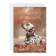 Frohe Howlidays Hunde-Foto Weihnachten