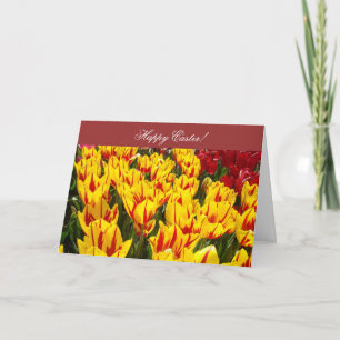 Frohe Ostern! Grußkarten Bunte Tulpenblume Feiertagskarte