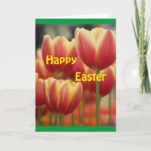 **FROHE OSTERN** MEINER TOLLEN **LEHRER** KARTE