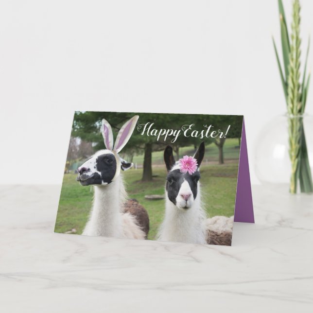 Frohe Ostern von 2 Ostern Llamas Karte (Vorderseite)