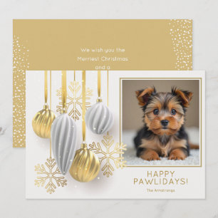 Frohe Pawlidays Hunde-Foto Weihnachten