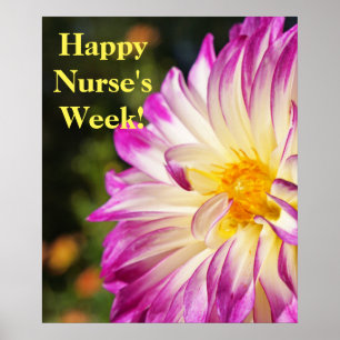Frohe Pflegerwoche! Poster Drucke Krankenschwester