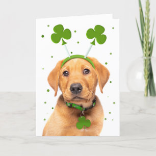 Frohe St. Patrick's Day für jeden Hund im Stirnban Feiertagskarte