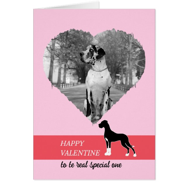 Frohe Valentinstag mein Großer DAne (Vorne)