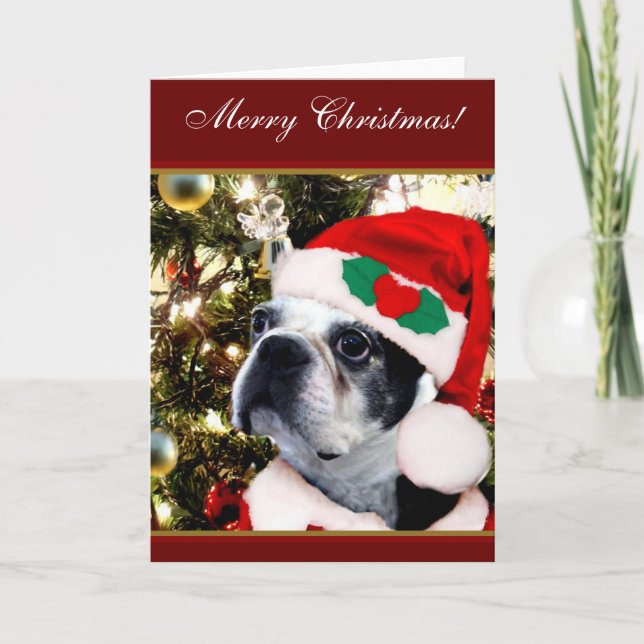 Frohe Weihnacht-Boston-Terrier Feiertagskarte (Vorderseite)