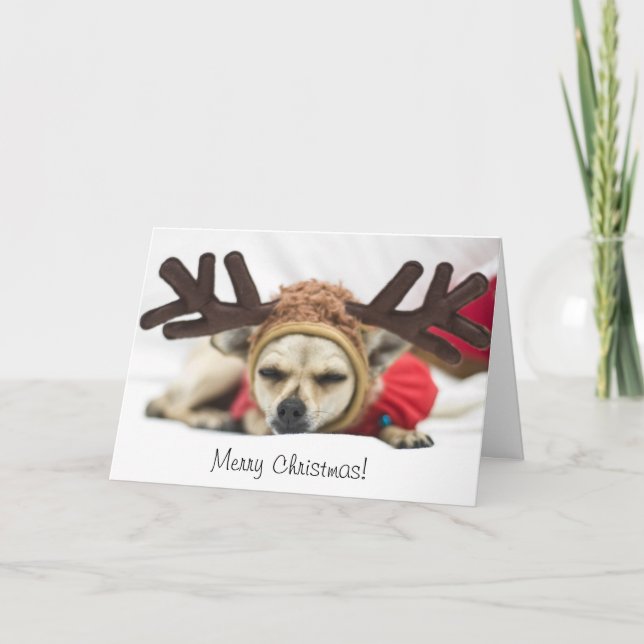 Frohe Weihnacht-Chihuahua-Ren Feiertagskarte (Vorderseite)