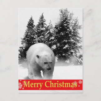 Frohe Weihnacht-Eisbär! Feiertagspostkarte