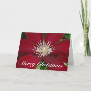Frohe Weihnacht-Gruß-Karte Feiertagskarte
