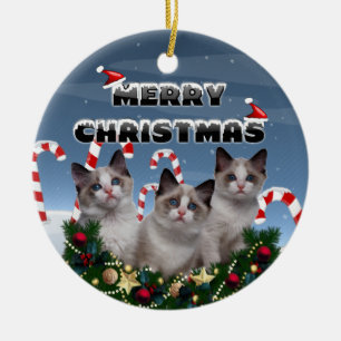 Frohe Weihnacht-Kätzchen im Zuckerstange-Land Keramik Ornament