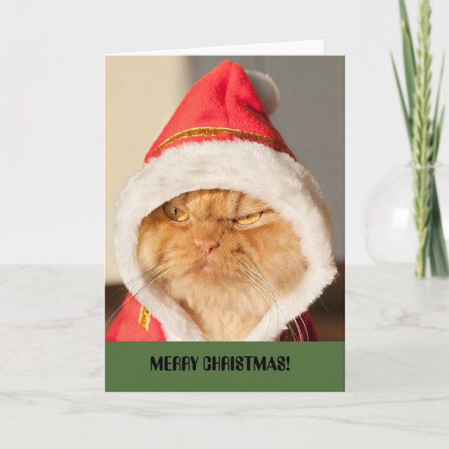 Frohe Weihnacht-Katze Feiertagskarte (Vorderseite)