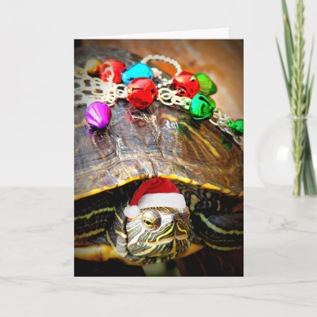 Frohe Weihnacht-Schildkröte Feiertagskarte (Vorderseite)