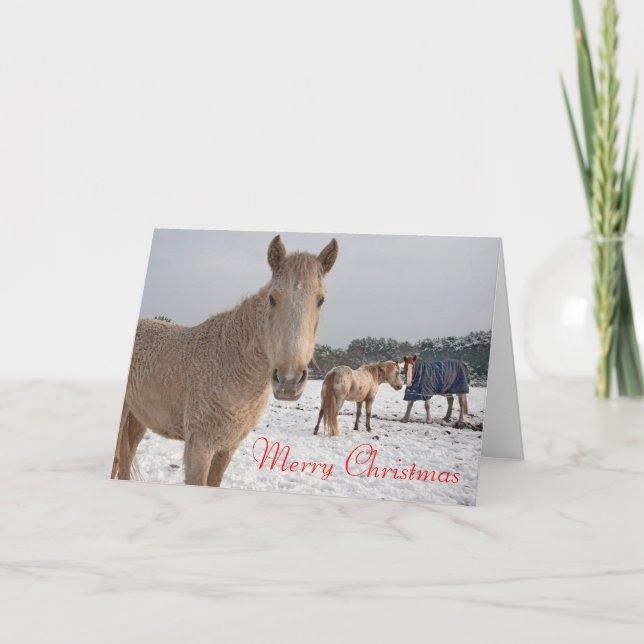 Frohe Weihnachten (Vorderseite)