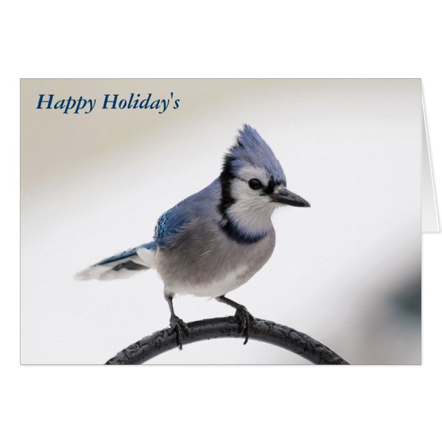 Frohe Weihnachten (Vorderseite (Horizontal))