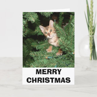 FROHE WEIHNACHTEN