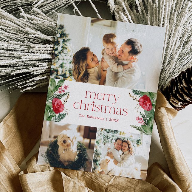 Frohe Weihnachten 3 Foto Botanische Vegetation (Von Creator hochgeladen)