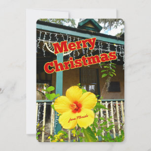 Frohe Weihnachten aus dem tropischen Hibiskus von 