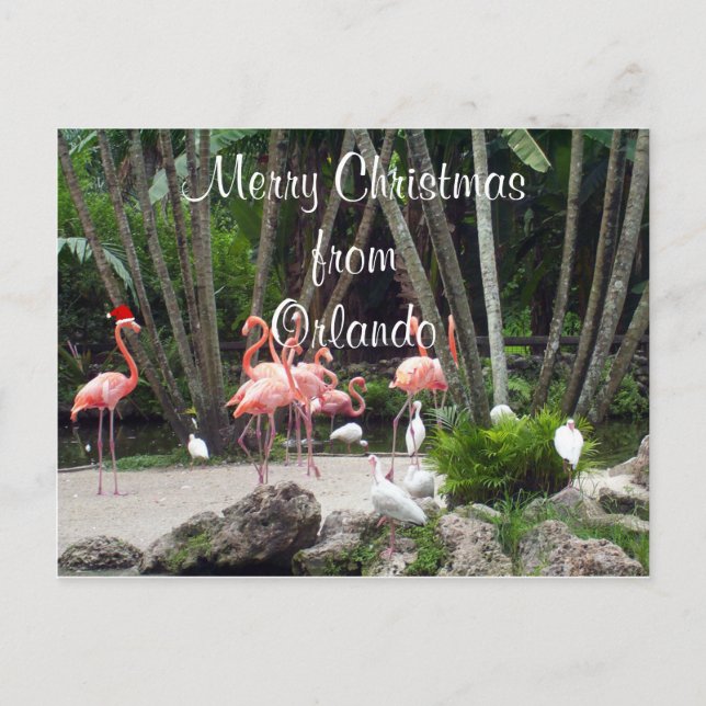Frohe Weihnachten aus Orlando (Vorderseite)