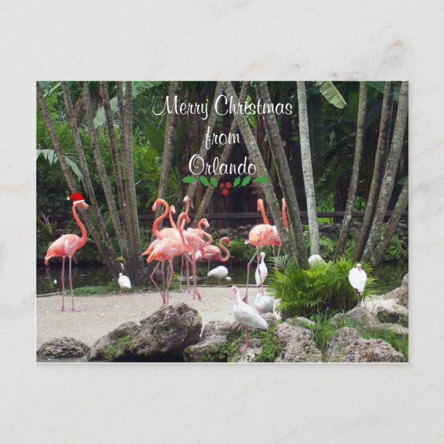 Frohe Weihnachten aus Orlando - Rosa Flamingos (Vorderseite)
