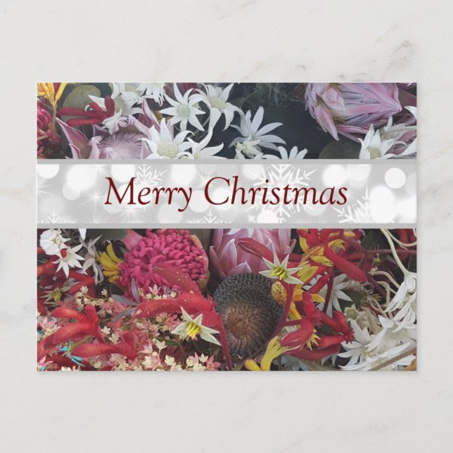 Frohe Weihnachten Australian Native Blume Postkarte (Vorderseite)