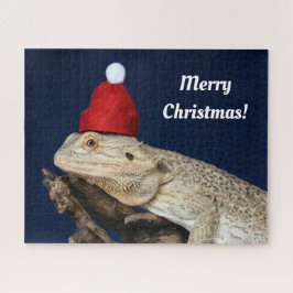 Frohe Weihnachten Bartete Drache in einer Weihnach