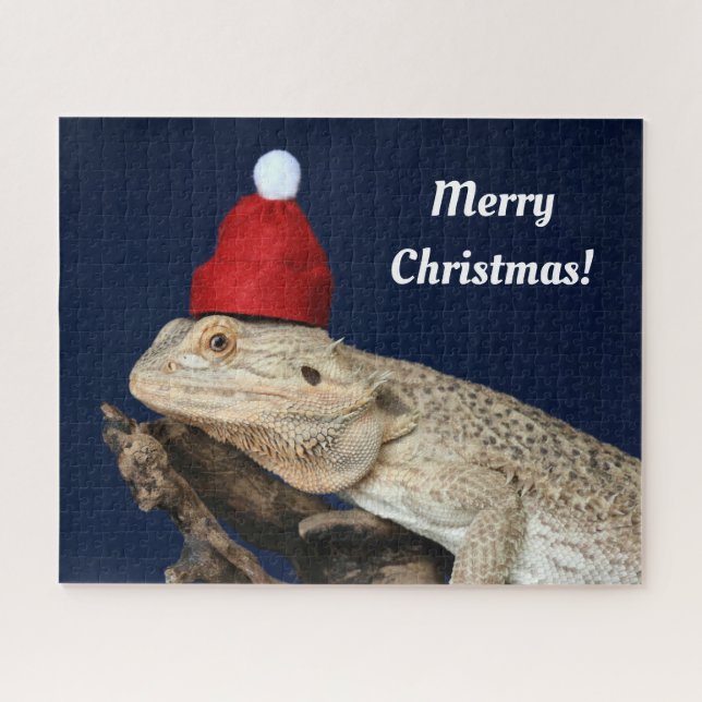 Frohe Weihnachten Bartete Drache in einer Weihnach (Horizontal)
