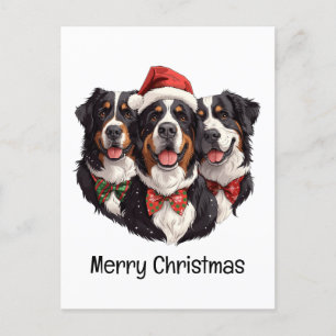 Frohe Weihnachten Bernese Mountain Hunde Postkarte