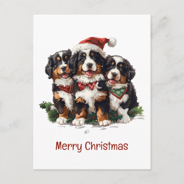 Frohe Weihnachten Bernese Mountain Hunde Postkarte (Vorderseite)