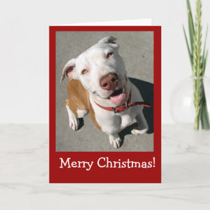 Frohe Weihnachten Best Freind