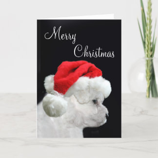 Frohe Weihnachten Bichon Frise