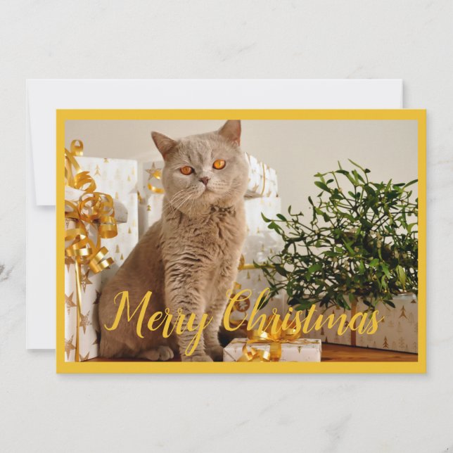 Frohe Weihnachten Cat Foto Jahreszeit Grüße (Vorderseite)