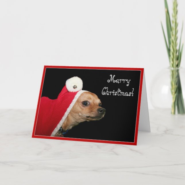 Frohe Weihnachten Chihuahua Grußkarte (Vorderseite)
