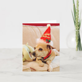 Frohe Weihnachten Chihuahua Süsse 4Sadie Karte